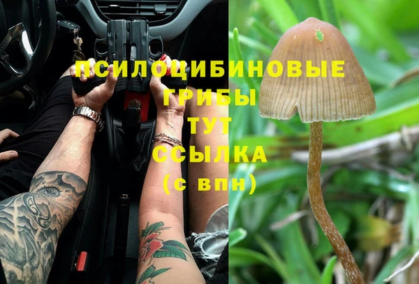 apvp Волоколамск