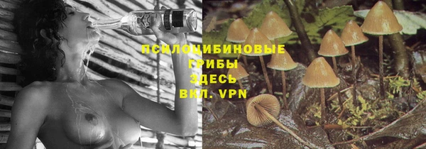 тгк Волосово