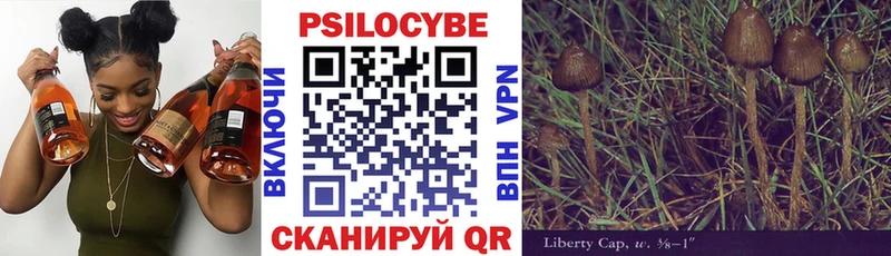 Галлюциногенные грибы мицелий Ноябрьск